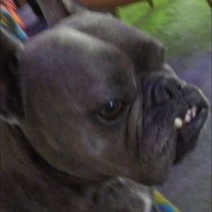 Meet your Posher, Matt